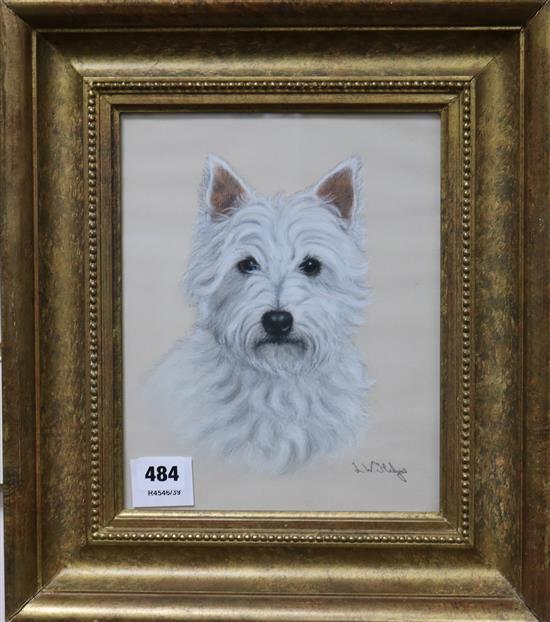 L.W.Helyer pastel of a terrier, 25 x 20cm